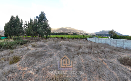 Terreno Sector Cerro Grande